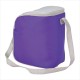 Cool Spring 12-Can Cooler by Duffelbags.com